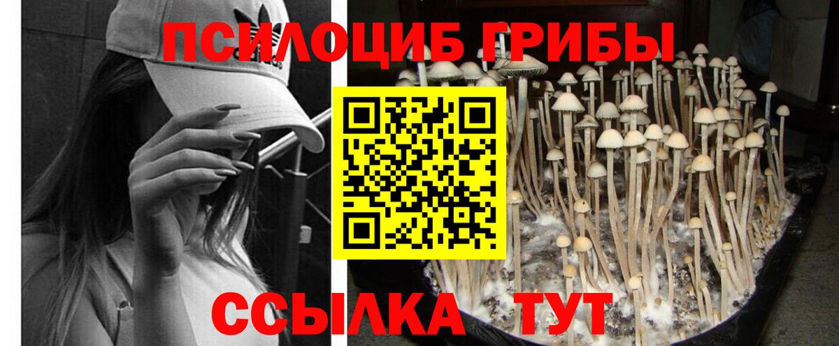 Галлюциногенные грибы мицелий  Вход с VPN  Обнинск 